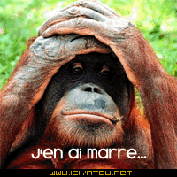 Aller yen a mare la des coms svp; lol